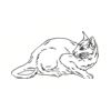 5 Pack - Oval Sticker 3 1/2 Thumbnail