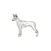 5 Pack - Oval Sticker 3 1/2 Thumbnail