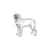 5 Pack - Oval Sticker 3 1/2 Thumbnail