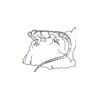 5 Pack - Oval Sticker 3 1/2 Thumbnail