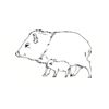 5 Pack - Oval Sticker 3 1/2 Thumbnail