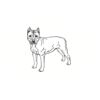 5 Pack - Oval Sticker 3 1/2 Thumbnail