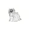 5 Pack - Oval Sticker 3 1/2 Thumbnail