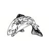 5 Pack - Oval Sticker 3 1/2 Thumbnail