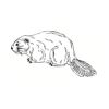 5 Pack - Oval Sticker 3 1/2 Thumbnail