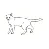 5 Pack - Oval Sticker 3 1/2 Thumbnail