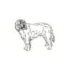 5 Pack - Oval Sticker 3 1/2 Thumbnail