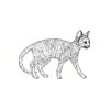 5 Pack - Oval Sticker 3 1/2 Thumbnail