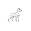 5 Pack - Oval Sticker 3 1/2 Thumbnail
