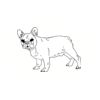 5 Pack - Oval Sticker 3 1/2 Thumbnail