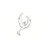 5 Pack - Oval Sticker 3 1/2 Thumbnail