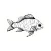 5 Pack - Oval Sticker 3 1/2 Thumbnail