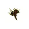 5 Pack - Oval Sticker 3 1/2 Thumbnail