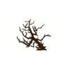 5 Pack - Oval Sticker 3 1/2 Thumbnail