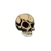 5 Pack - Oval Sticker 3 1/2 Thumbnail