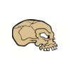 5 Pack - Oval Sticker 3 1/2 Thumbnail