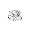 5 Pack - Oval Sticker 3 1/2 Thumbnail