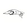 5 Pack - Oval Sticker 3 1/2 Thumbnail