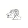 5 Pack - Oval Sticker 3 1/2 Thumbnail