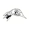 5 Pack - Oval Sticker 3 1/2 Thumbnail