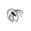 5 Pack - Oval Sticker 3 1/2 Thumbnail