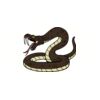 5 Pack - Oval Sticker 3 1/2 Thumbnail
