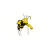 5 Pack - Oval Sticker 3 1/2 Thumbnail