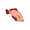 5 Pack - Oval Sticker 3 1/2 Thumbnail