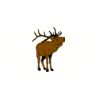 5 Pack - Oval Sticker 3 1/2 Thumbnail