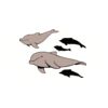 5 Pack - Oval Sticker 3 1/2 Thumbnail