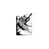 5 Pack - Oval Sticker 3 1/2 Thumbnail