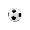 5 Pack - Oval Sticker 3 1/2 Thumbnail