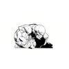 5 Pack - Oval Sticker 3 1/2 Thumbnail