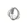5 Pack - Oval Sticker 3 1/2 Thumbnail