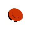 5 Pack - Oval Sticker 3 1/2 Thumbnail