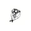 5 Pack - Oval Sticker 3 1/2 Thumbnail