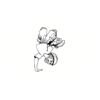 5 Pack - Oval Sticker 3 1/2 Thumbnail