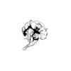 5 Pack - Oval Sticker 3 1/2 Thumbnail