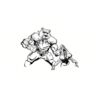 5 Pack - Oval Sticker 3 1/2 Thumbnail