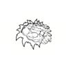 5 Pack - Oval Sticker 3 1/2 Thumbnail