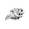 5 Pack - Oval Sticker 3 1/2 Thumbnail