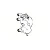 5 Pack - Oval Sticker 3 1/2 Thumbnail