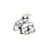 5 Pack - Oval Sticker 3 1/2 Thumbnail