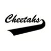 5 Pack - Oval Sticker 3 1/2 Thumbnail