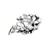 5 Pack - Oval Sticker 3 1/2 Thumbnail