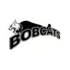 5 Pack - Oval Sticker 3 1/2 Thumbnail