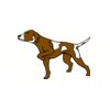 5 Pack - Oval Sticker 3 1/2 Thumbnail