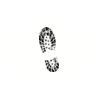 5 Pack - Oval Sticker 3 1/2 Thumbnail