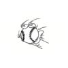 5 Pack - Oval Sticker 3 1/2 Thumbnail