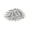 5 Pack - Oval Sticker 3 1/2 Thumbnail